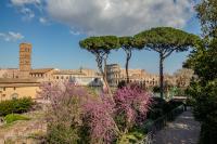 Le Colisée depuis le Forum