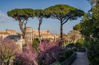 Le Colisée depuis le Forum